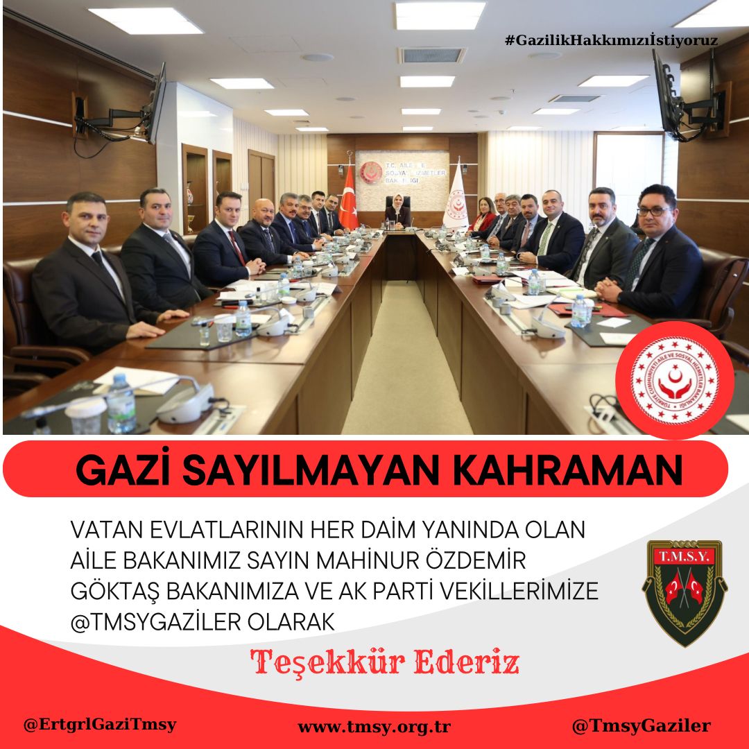 gazi (TMSY) tweet media