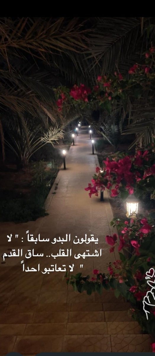 أم تركي tweet media