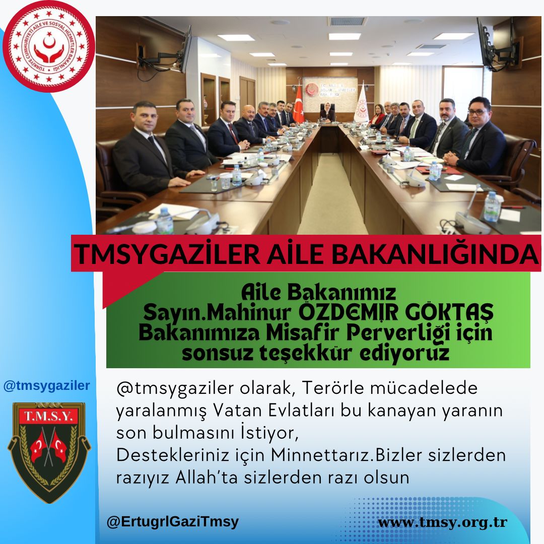 gazi (TMSY) tweet media