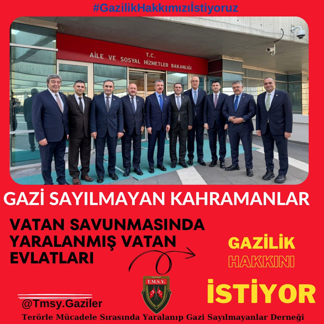 gazi (TMSY) tweet media