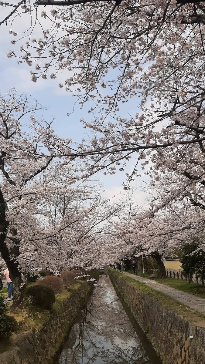 AndreiMirco's tweet photo. Giappone ❤🇯🇵⛩🏯

#giappone #japan https://t.co/Z3hyGZKWt6