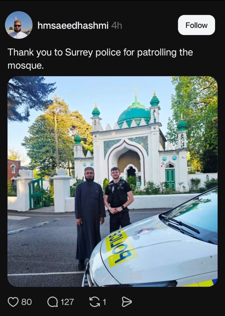 Tommy Robinson 🇬🇧 tweet media