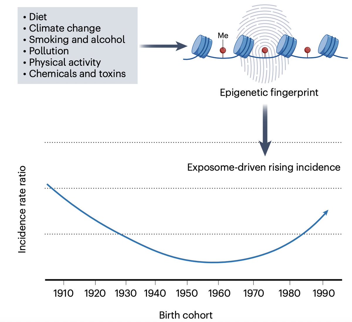 SylvanBacaLab's tweet photo. A pleasure working with David Lee and @KimmieNgMD on this perspective: https://t.co/nXtXRp254z.

Neat approach in the corresponding paper: Using DNA methylation signatures of environmental exposures to investigate what's driving the alarming rise in early-onset colorectal cancer. https://t.co/pFa5ltEJsM