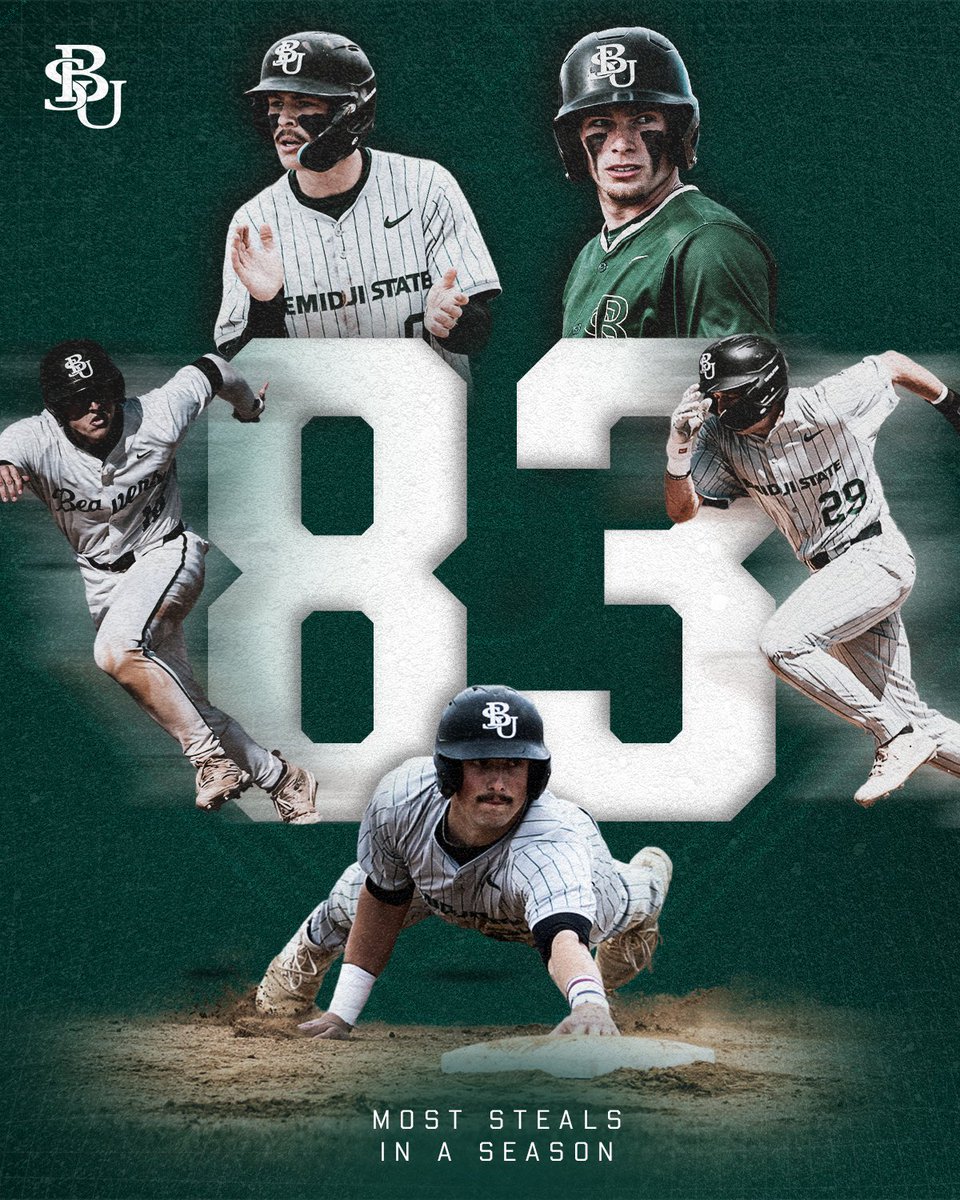 Bemidji State Baseball tweet media