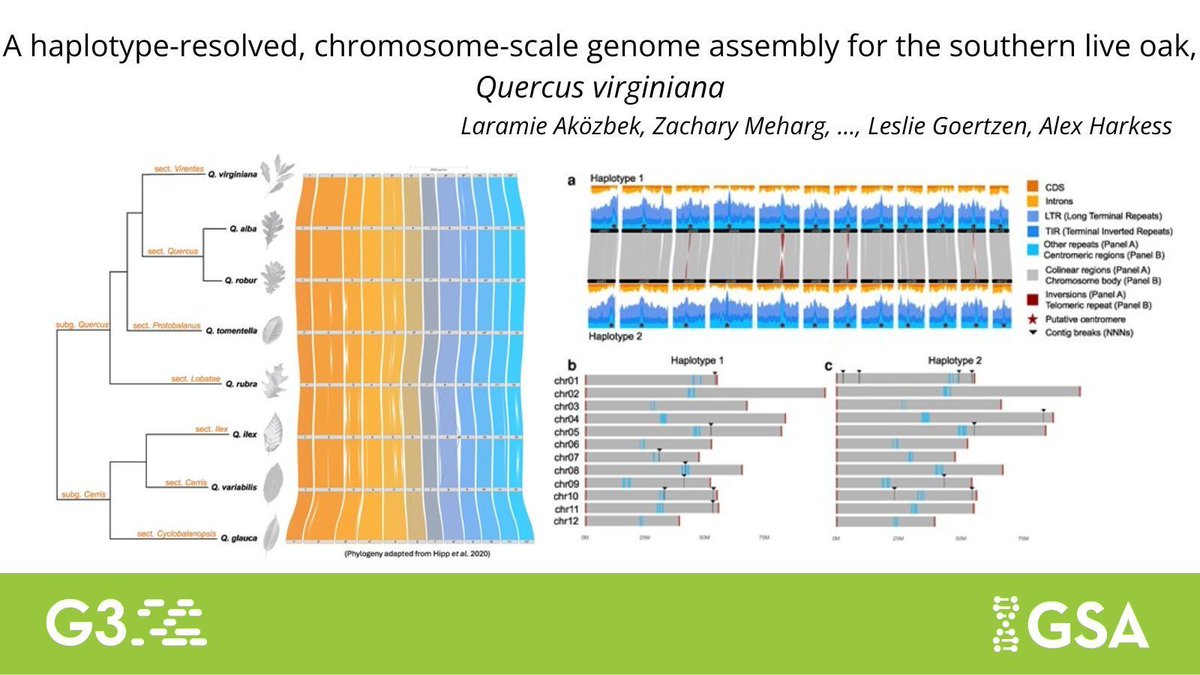 Genetics Society of America tweet media