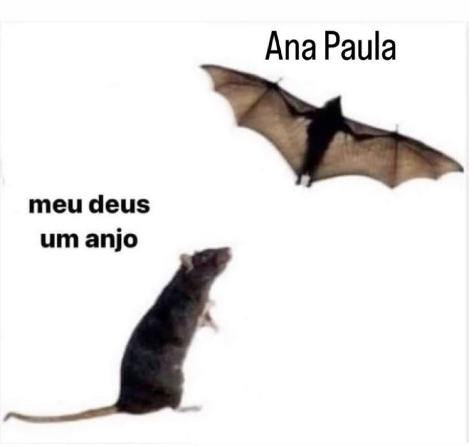 AQUELE QUE VC ODEIA tweet media