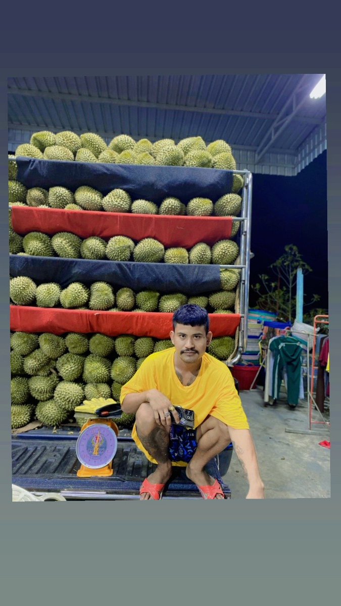 Day75302Hmapa's tweet photo. สนใจทุเรียนหรือคนตัดดี https://t.co/A9NA5bVQjq