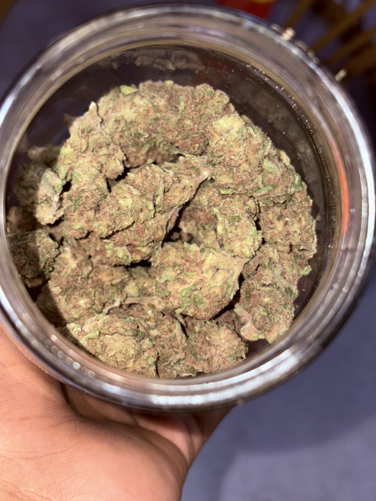 International Stoner 👽 tweet media