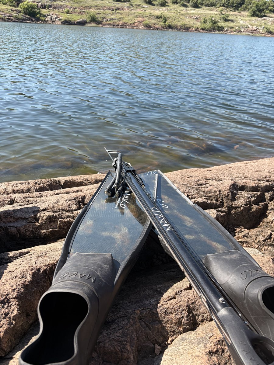 theRobAustin's tweet photo. Waters finally warm enough to go hunting those gorilla catfish again… https://t.co/8cRfS6yagT