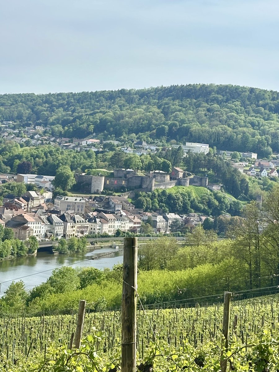 FFabTravel's tweet photo. Balade du jour avec vue sur Rustroff et le château de Sierck #moselle #ducdelorraine #chateau #rando https://t.co/jFby9PJGik