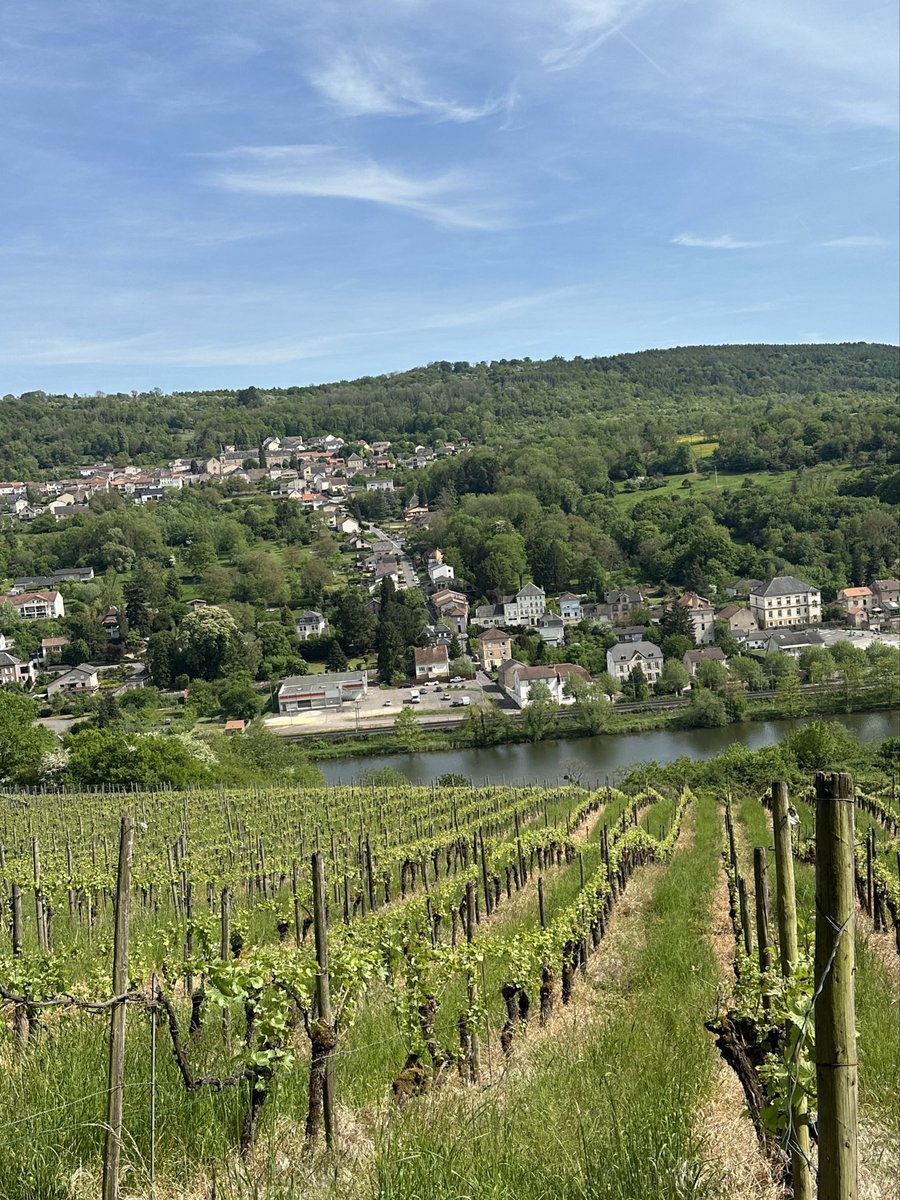 FFabTravel's tweet photo. Balade du jour avec vue sur Rustroff et le château de Sierck #moselle #ducdelorraine #chateau #rando https://t.co/jFby9PJGik