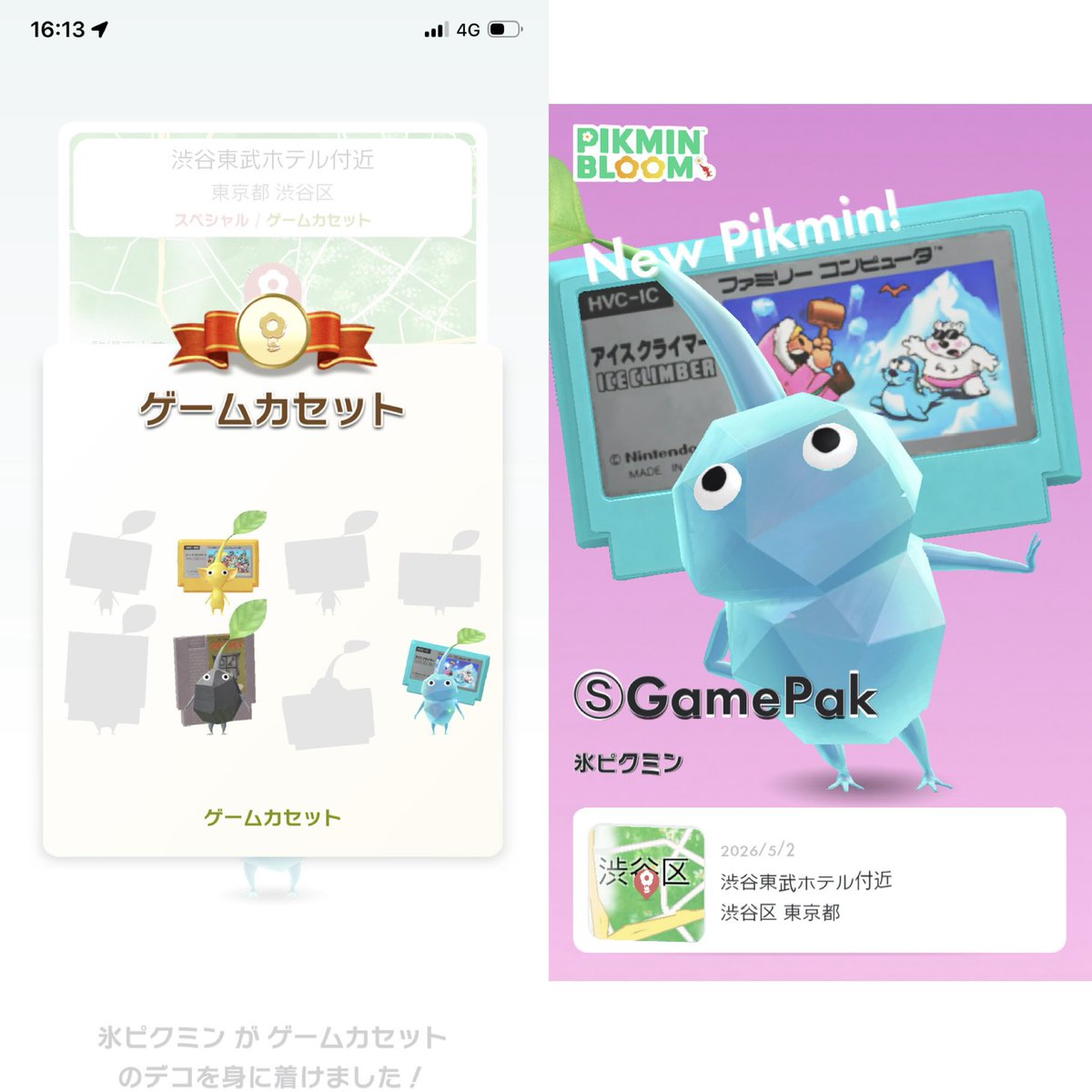 PadmaSucre's tweet photo. Welcomed Game Pak Rocky, Yelly, & Icey! So hyped about Icey's "Ice Climber" decor. It was the only game I cleared (all 50 stages) in elementary school!
#PikminBloom #IceClimber #Zelda #SuperMarioBros https://t.co/hM1IdEitEA