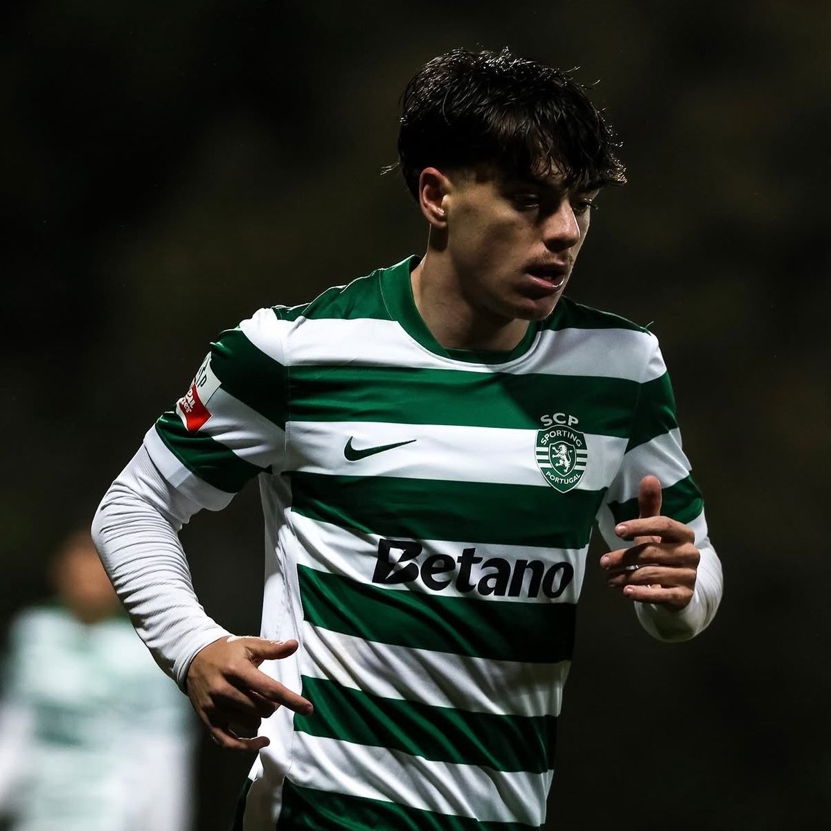 Sporting Adeptos tweet media