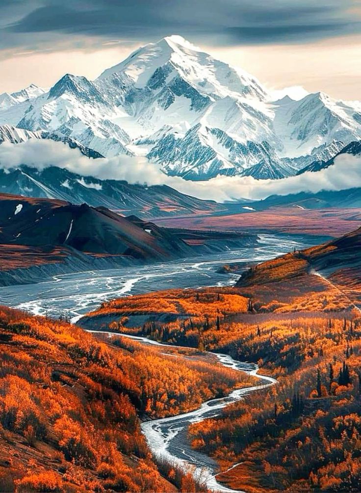 Wondrous Nature tweet media