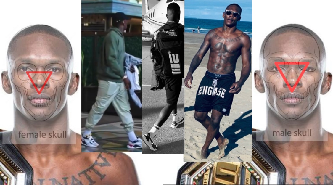 Bake1719812's tweet image. Israel Adesanya fails the Forensic Tests/Bio female Skull match/3x the female gait/legs crossed/1 foot behind the other/1x flamingo foot/but Fanx for playing CSI with me #forensics #CSI #Egi                                 
   ~ Its ALL of them.. No Exceptions