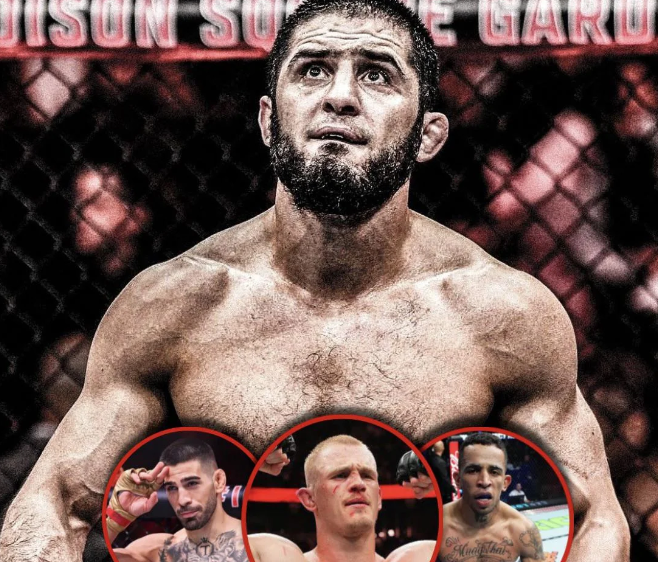 MMA FIXED tweet media