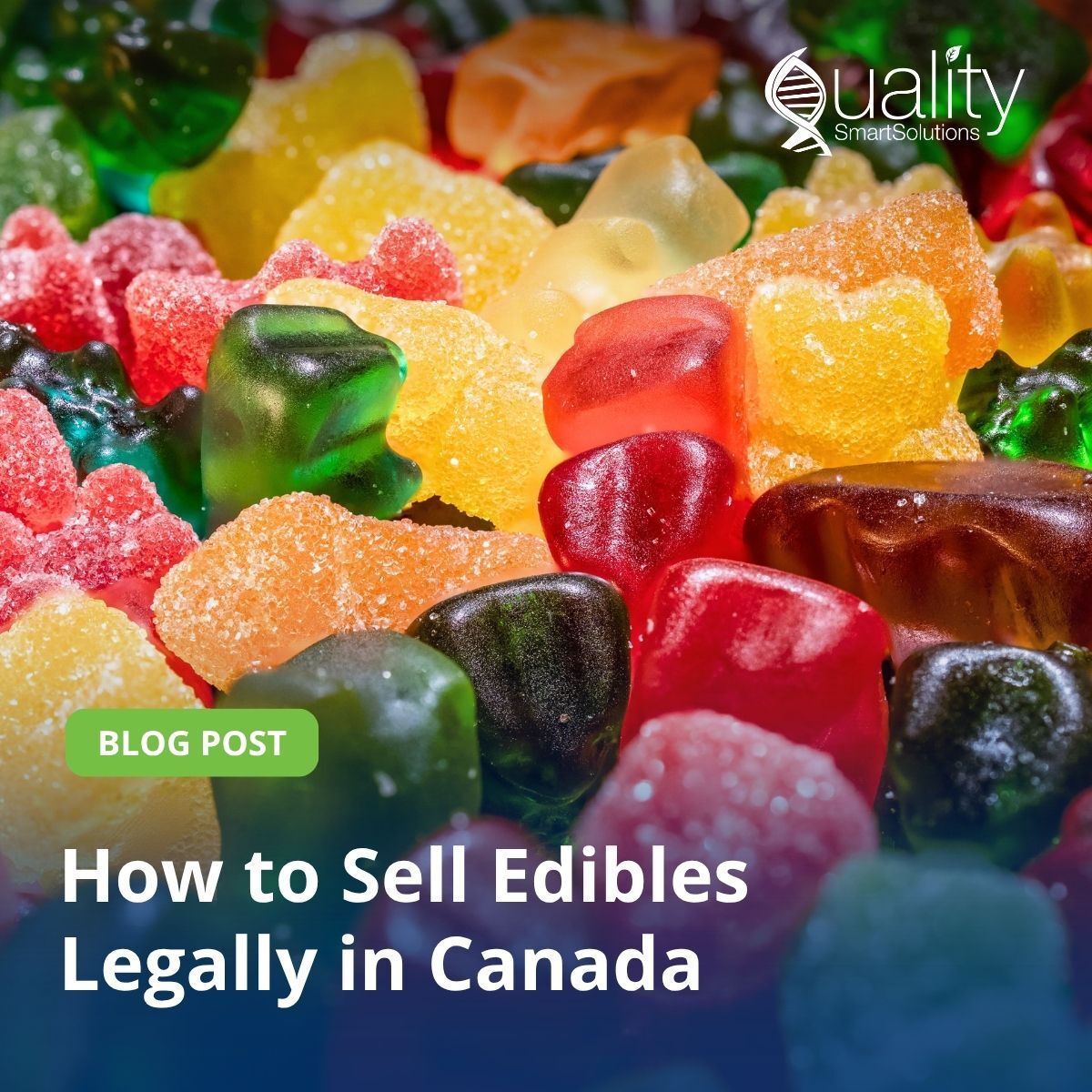 qualitysmart's tweet photo. Selling cannabis edibles in Canada requires a federal licence, strict THC limits, bilingual plain packaging, and provincial listing approval. 🍬 And each step has its own timeline.

👉 https://t.co/uCQKaurx1Y

#Cannabis #HealthCanada https://t.co/7vg2QFzU0x