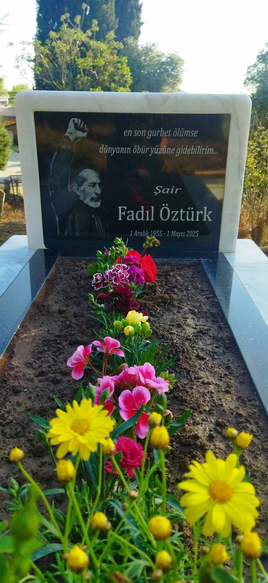 Türkan Güneri tweet media