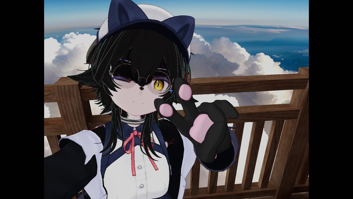 曖昧な猫 tweet media