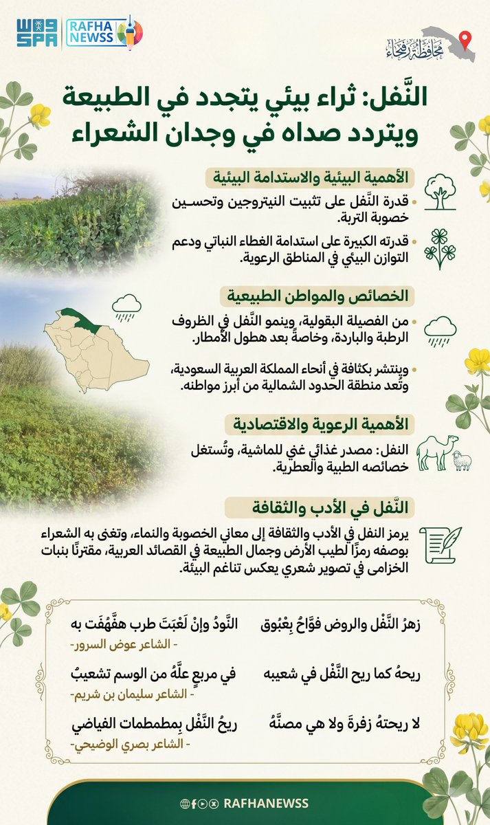 (AI) بيـبـلايـن tweet media