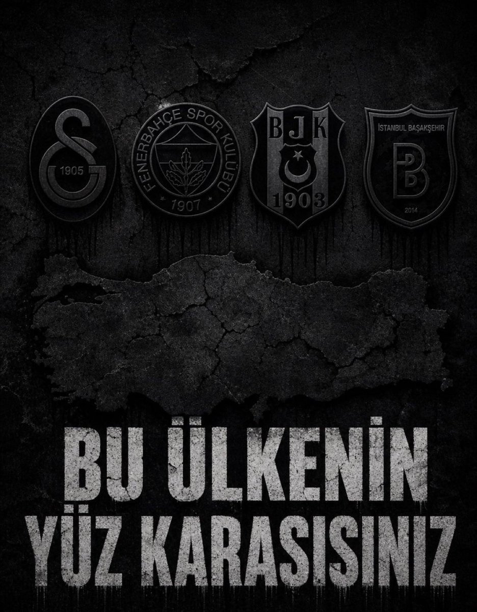 Gökçe Katun tweet media