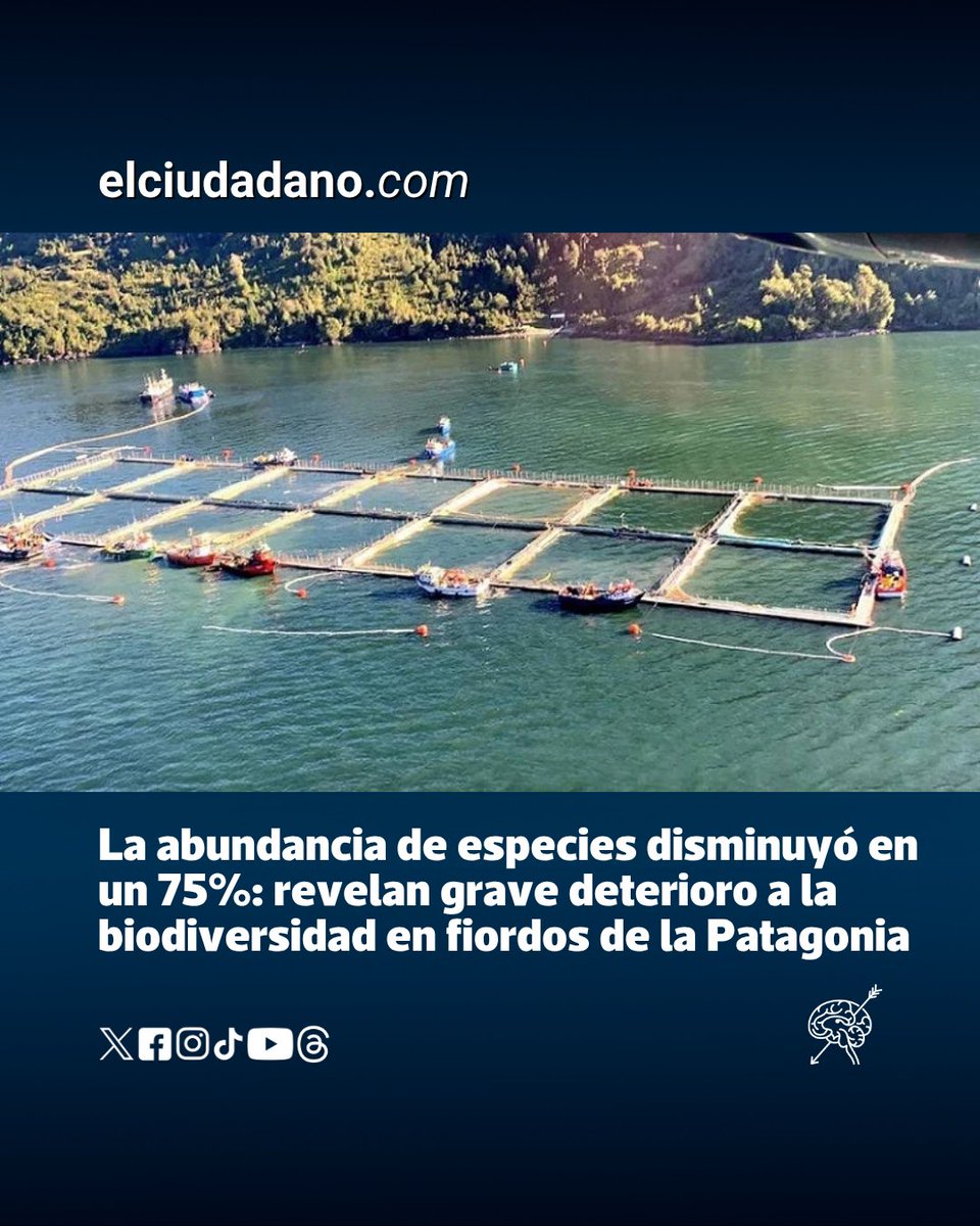 Científicos denuncian un drástico deterioro en fiordos de la Patagonia chilena por industria salmonera y cambio climático. La bióloga Vreni Häussermann documenta una reducción del 75% de especies dominantes en diez años y alerta: el daño queda “escondido bajo la superficie”. El