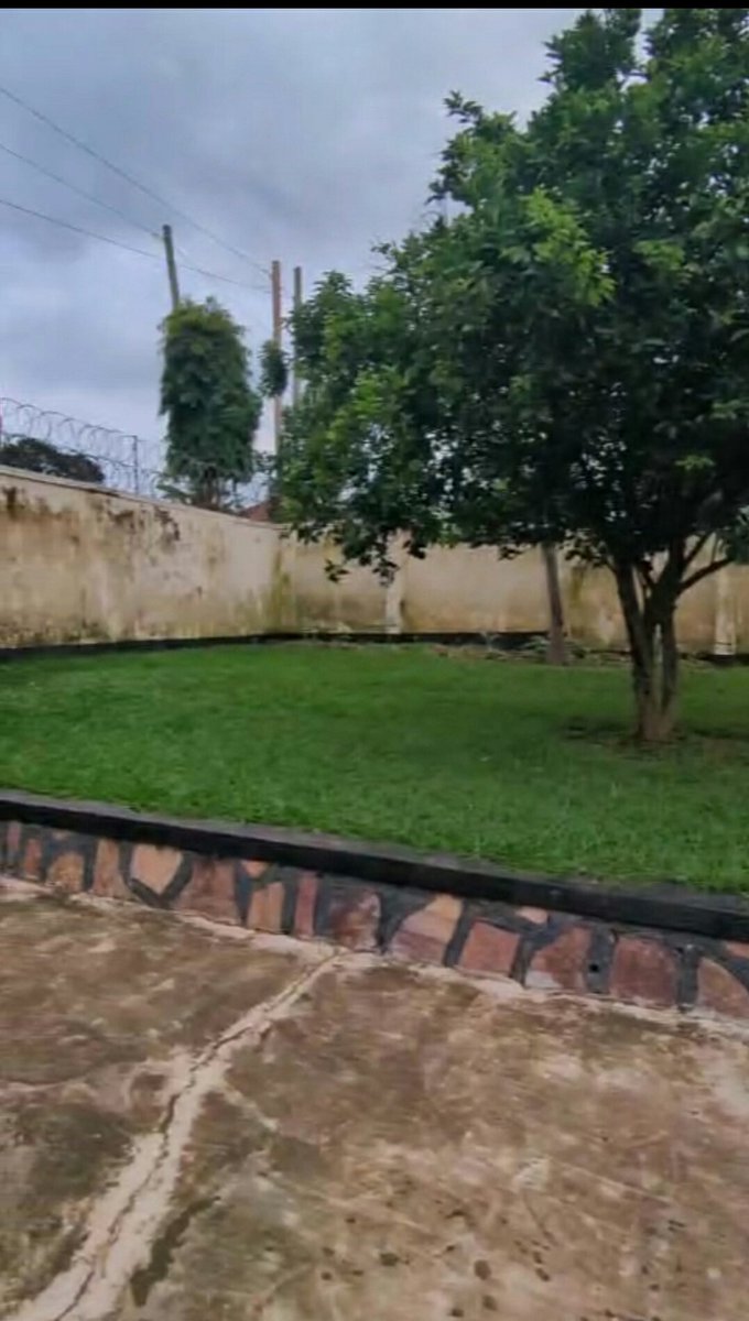 legendhomes's tweet photo. Seated on 22decimals in Entebbe, Close to Victoria Mall, On Byatike Road.

Has 3bedrooms, 2Toilets and Two Boyz Quarters, Very Suitable for you and Your Family Residence. 

Selling at 185,000 USD

Ready Private Mailo, Title.

Schedule inspection Now.

+256781150321 https://t.co/ighLUVWQ4a