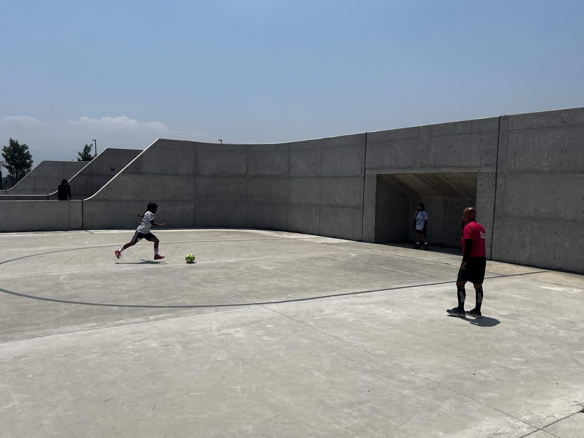 PELT (Parque Ecológico Lago de Texcoco) tweet media