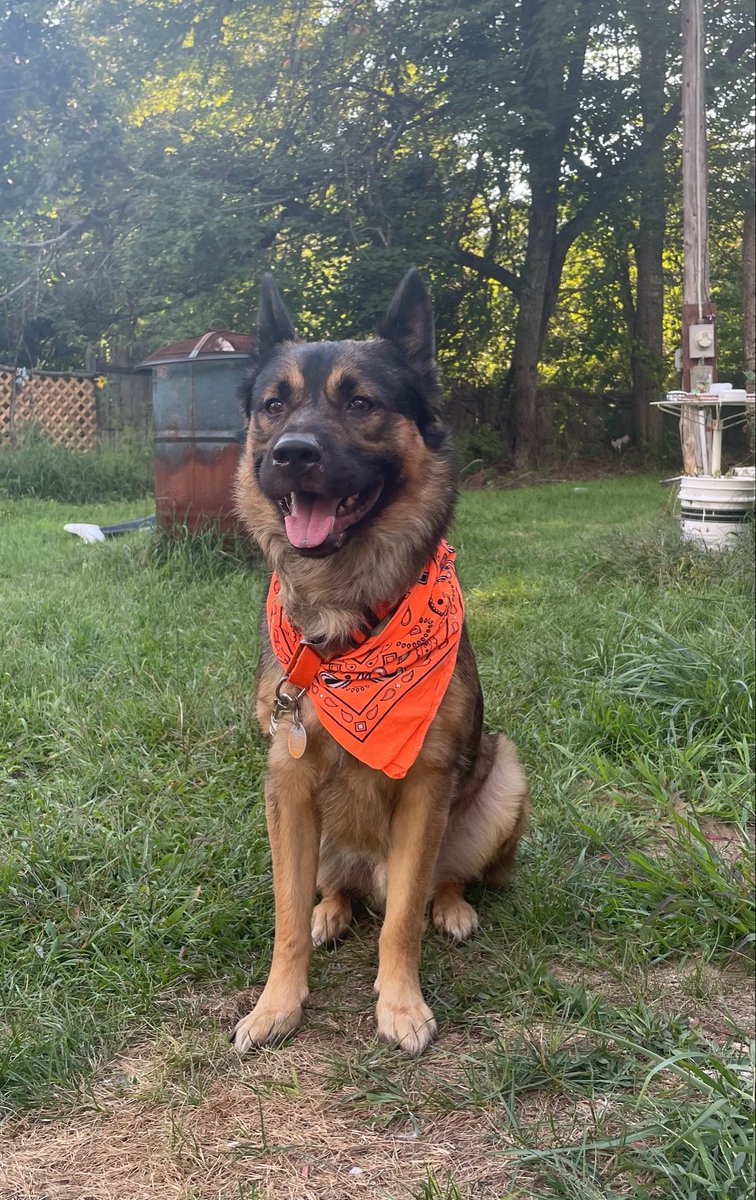 caspmel's tweet photo. my boyfriends favorite boy name is Oliver but unfortunately for him that name has already been taken https://t.co/MS3QUVxdCF