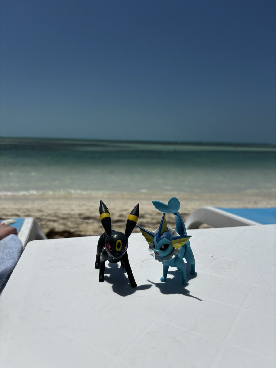 moosebernard's tweet photo. Scream at sea https://t.co/kXYXka5Wvt