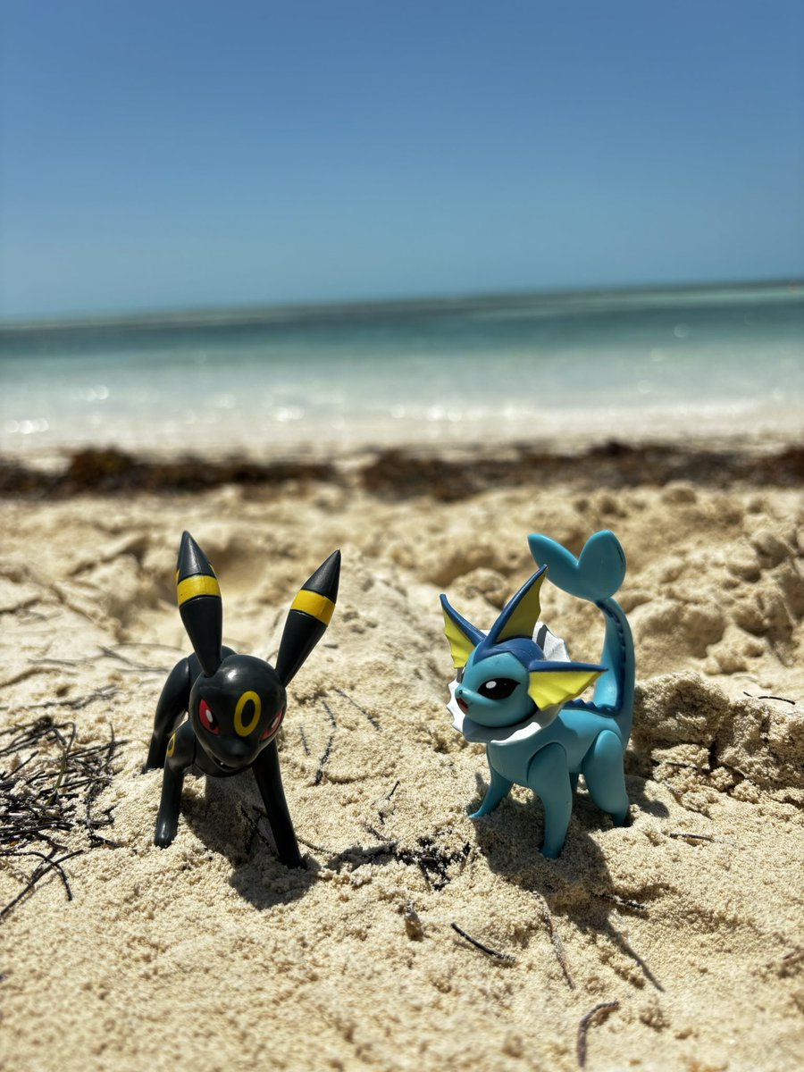 moosebernard's tweet photo. Scream at sea https://t.co/kXYXka5Wvt