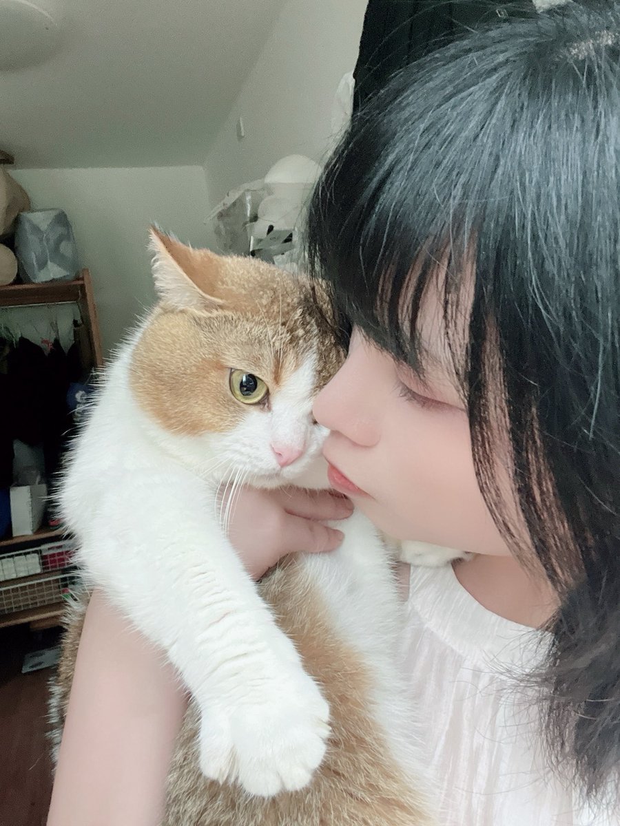 0603usagi's tweet photo. 我的貓咪🐱 https://t.co/DBHgQG910Z