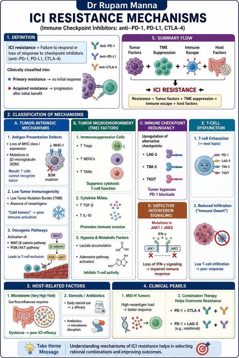 DrRupamOncology's tweet photo. 📌 High-Yield Immunotherapy Concept Every Oncologist & Resident Must Master

**ICI Resistance Mechanisms**  
(Primary & Acquired Resistance to PD-1 / PD-L1 / CTLA-4 Inhibitors)

Complete visual masterclass in one frame:
✅ Definition: Primary vs Acquired resistance
✅ Tumor-intrinsic mechanisms (MHC-I/B2M loss, low TMB, WNT/PI3K pathways)
✅ Tumor Microenvironment (Tregs, MDSCs, TGF-β, hypoxia)
✅ Checkpoint redundancy (LAG-3, TIM-3, TIGIT)
✅ T-cell exhaustion & immune desert
✅ Host factors (Microbiome dysbiosis, steroids, antibiotics)
✅ Clinical pearls (MSI-H advantage + rational combinations)

“Understanding mechanisms of ICI resistance helps in selecting rational combinations and improving outcomes.”

Save it. Share it. Use it in clinic & viva.

Next topic dropping soon: **NTRK Inhibitors – Short Notes**

Dr Rupam Manna
@DrRupamOncology

#ICIResistance #Immunotherapy #PD1 #CancerImmunology #OncoViva #MedicalEducation #Oncology #VivaPrep