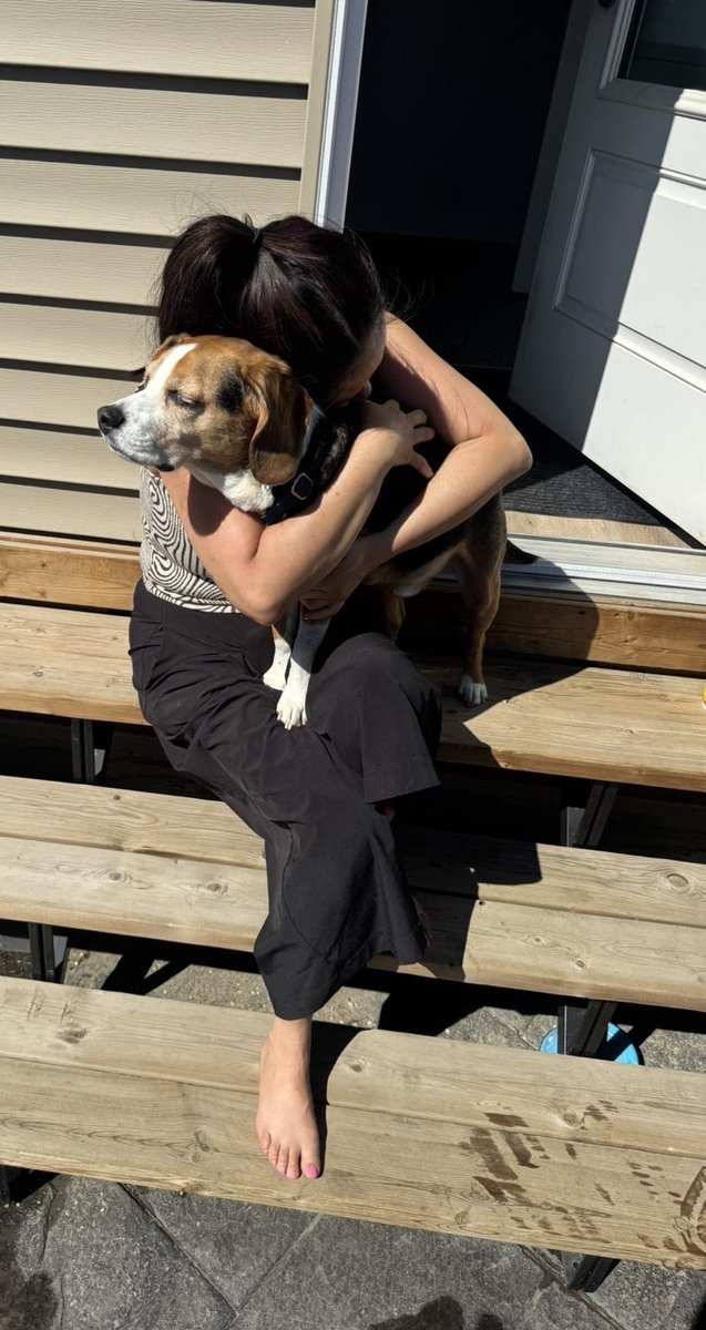 SerenaCMah's tweet image. A #beagle has a way of filling your cup. All is now good in the world. It’s been two weeks without my herd. I am now complete. #yeg #homesweethome @beaglefacts @TweeetsOfDogs