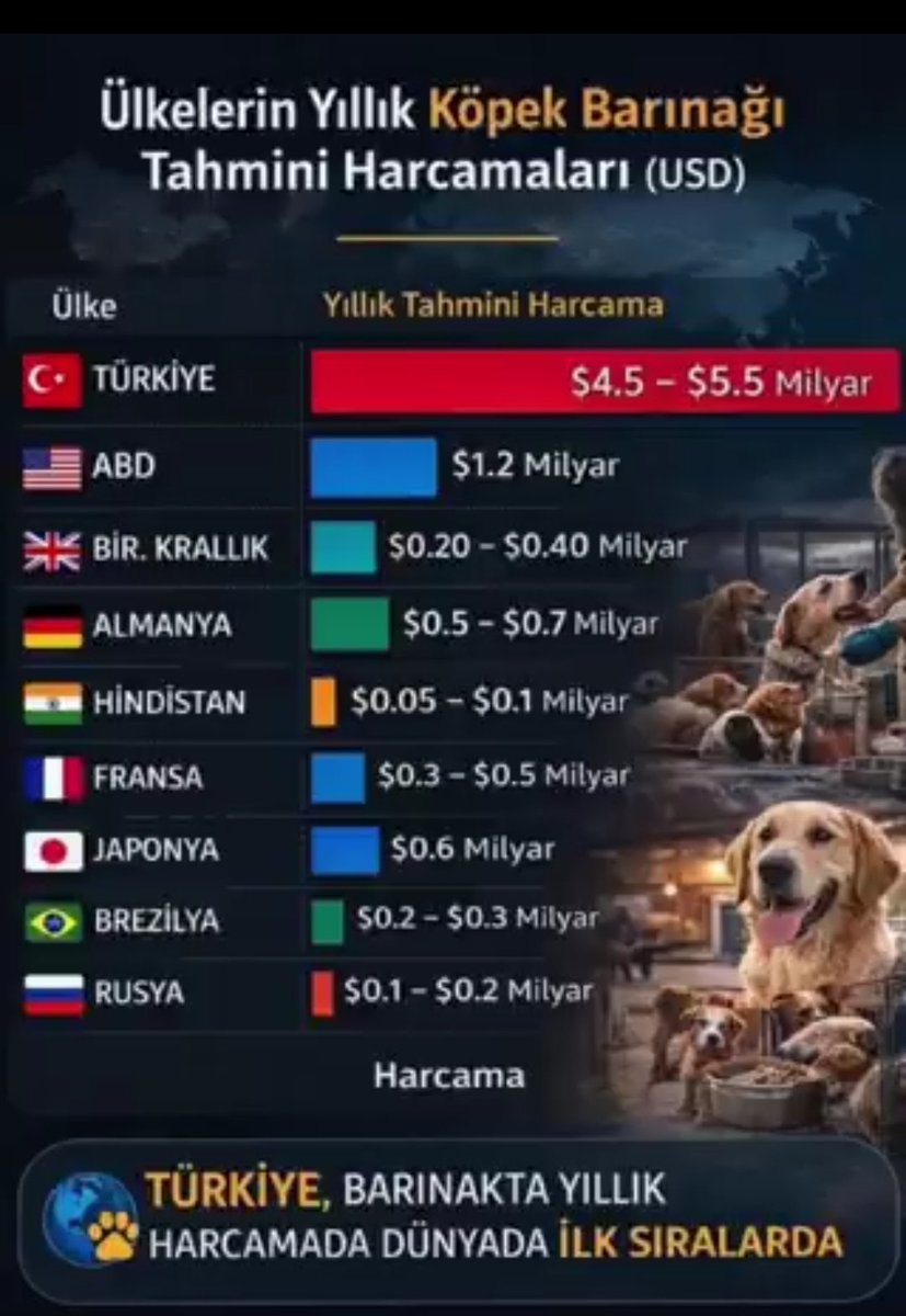 @Esra Çavuş tweet media