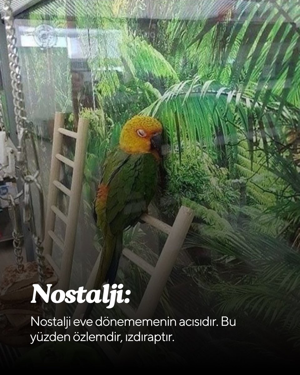 Etimoloji tweet media