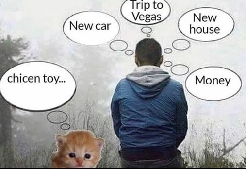 flash_man5's tweet image. #Caturday wishes