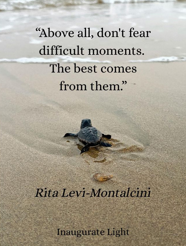 SueBEdwards's tweet image. Sometimes you have to pedal.
#inspirational