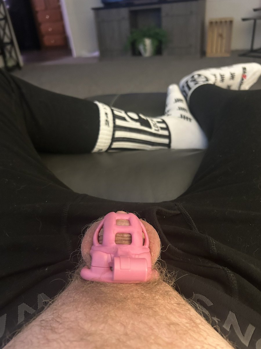 Locked Pup Havok tweet media