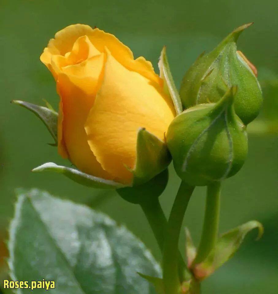 V Shivananda Kumar tweet media
