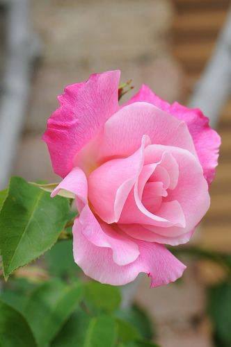V Shivananda Kumar tweet media