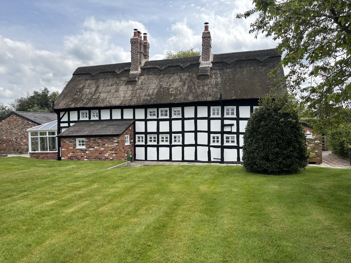 Master Thatchers Ltd tweet media
