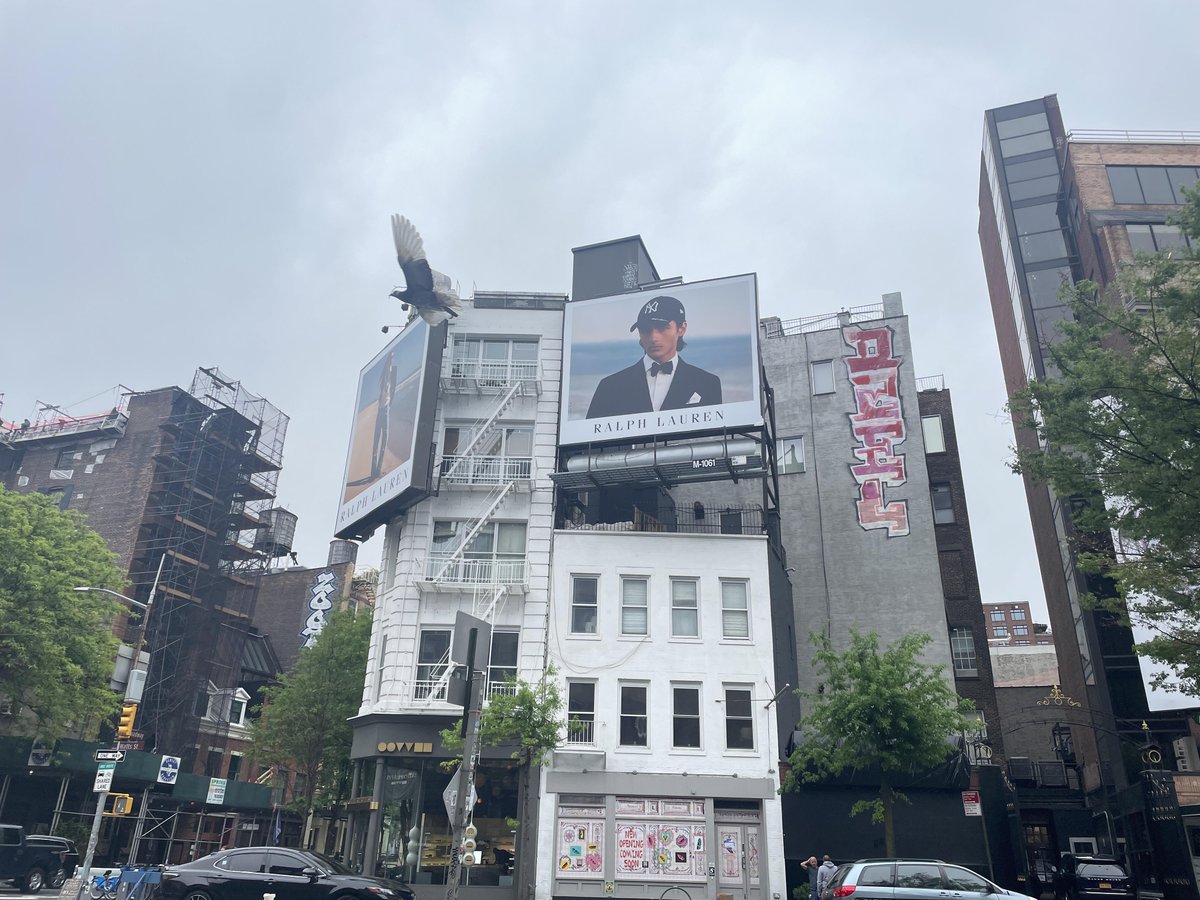 Cozycloudio's tweet photo. When wandering around the streets of New York, I felt very energetic, as light-footed, self-sufficient and self-possessed as Andy played by Anne Hathaway https://t.co/FuS7vyrV6p