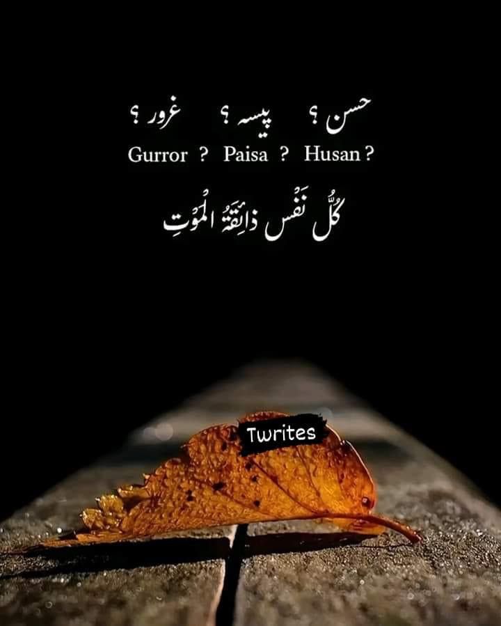 𝐿𝒶v𝑒𝑒𝓏𝒶_🍃 tweet media