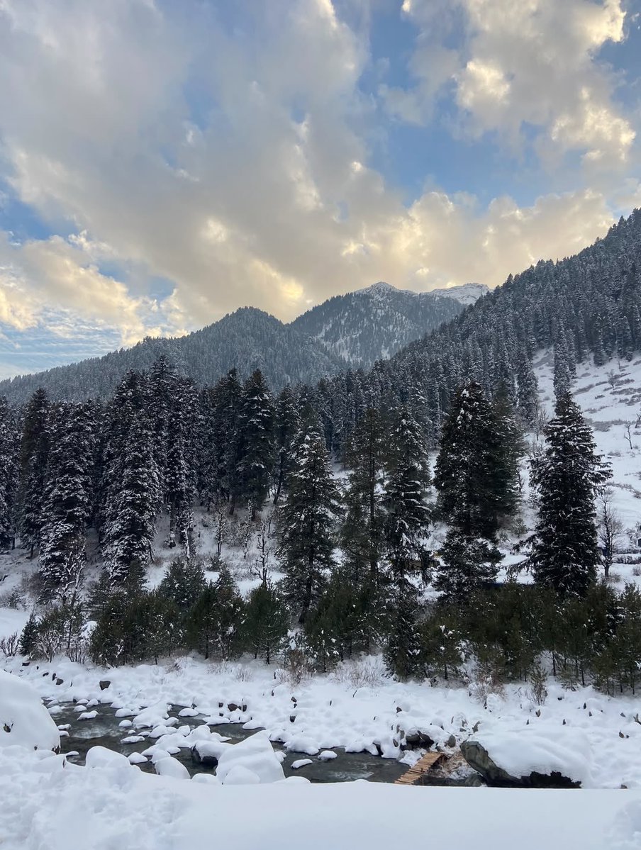 mrkhhaan's tweet image. Somewhere between the mountain and the meadow —
A whole life is being lived quietly and beautifully.

#WinterWonderland #SnowVibes #HimalayanWinter
#SnowCapped #FrozenRiver #WinterInKashmir
#SnowGoals #IcyBeauty #WinterMagic
#SnowPhotography #ColdButBeautiful