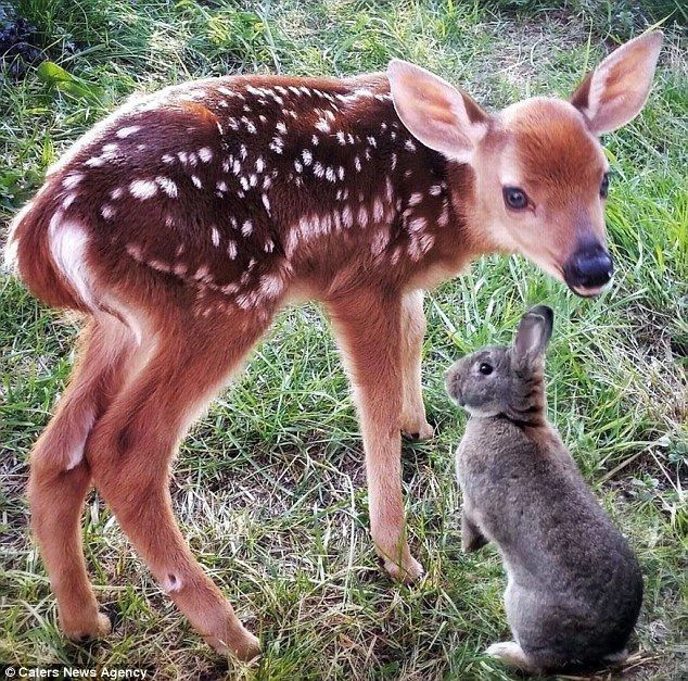 NATURE VIBE 🌠 tweet media
