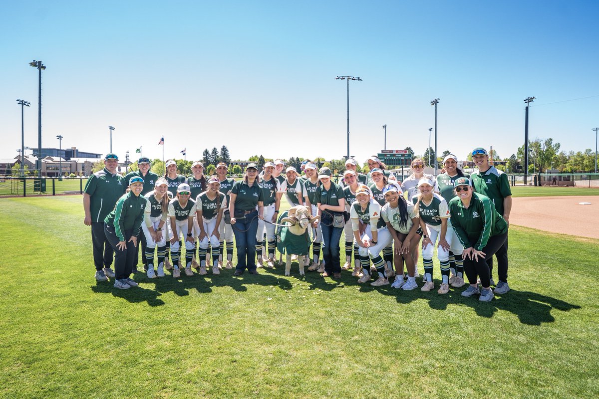 Colorado State Softball tweet media