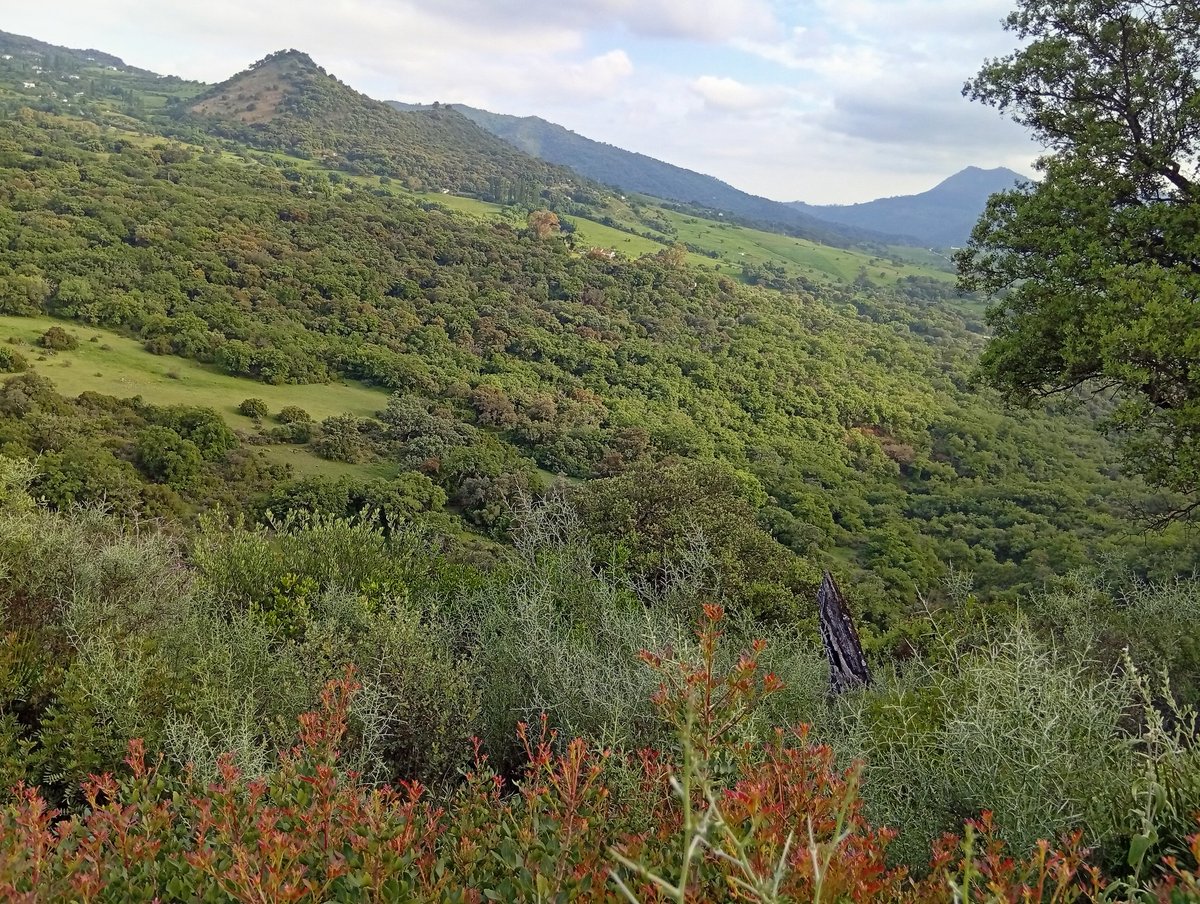 duendejavivi's tweet image. #Naturaleza #relax #desconexion #silencio #diabonito