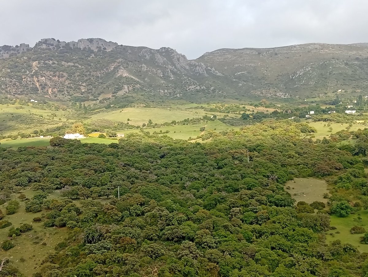 duendejavivi's tweet image. #Naturaleza #relax #desconexion #silencio #diabonito