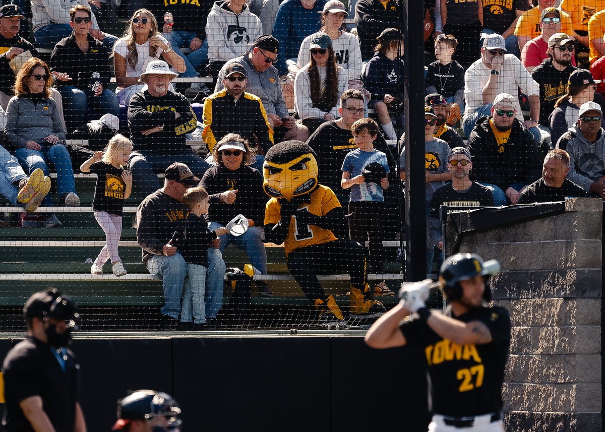 Iowa Baseball tweet media